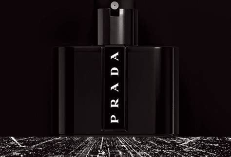 prada black label cologne|prada black cologne near me.